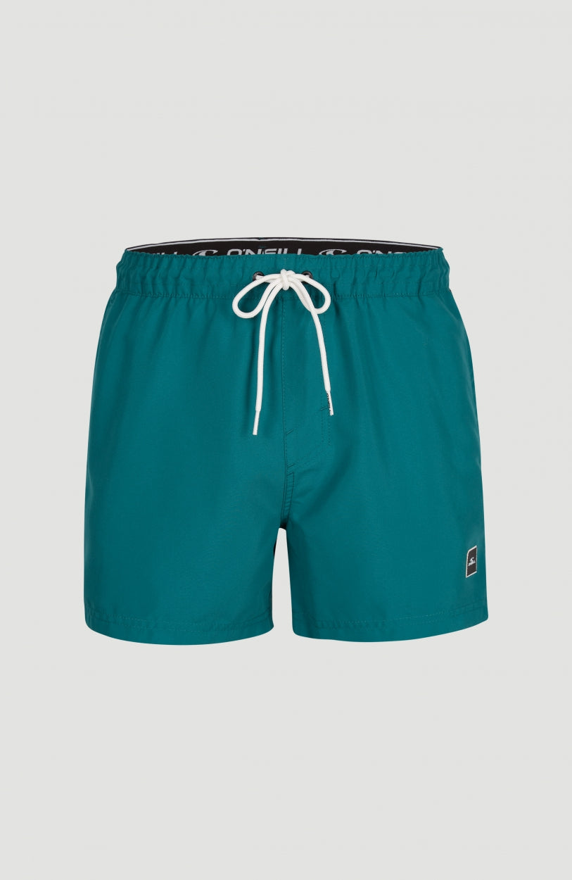 Cali Panel Swim Shorts 14