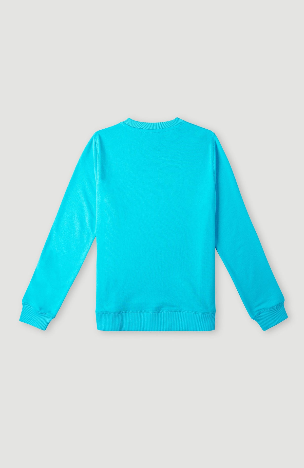 Circle Surfer Crew Sweatshirt | Bachelor Button