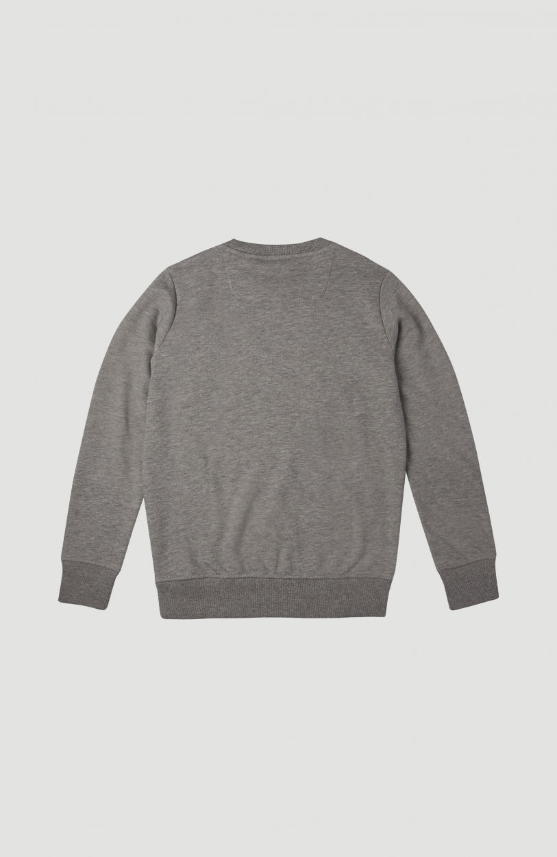 Logo Crew Sweatshirt | Silver Melee -A
