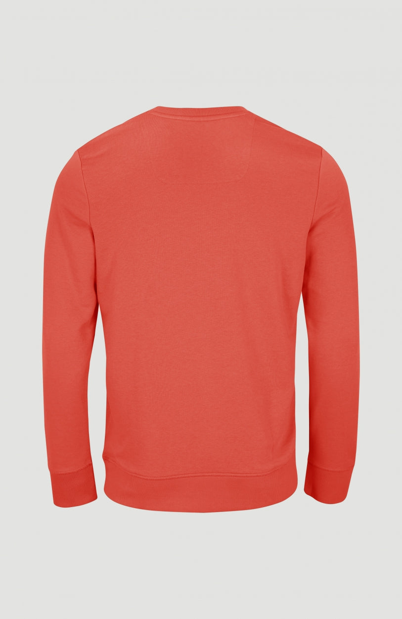 Logo Crew Sweatshirt | Living Coral -A