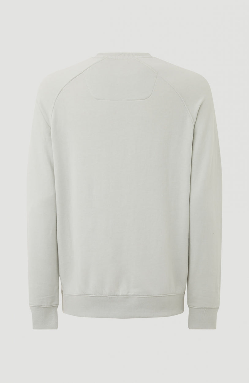 Color Grindle Crew Neck Sweatshirt | Mercury