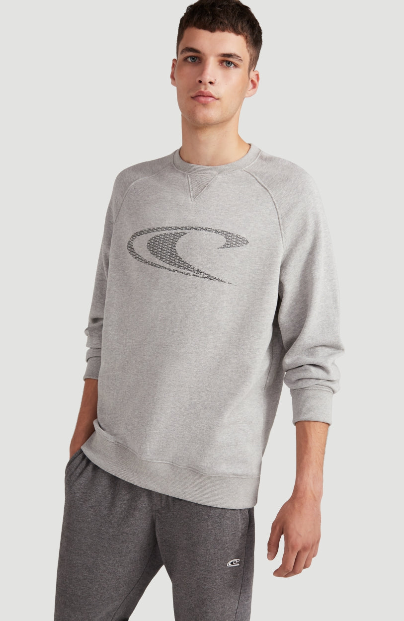 Color Grindle Crew Neck Sweatshirt | Silver Melee -A