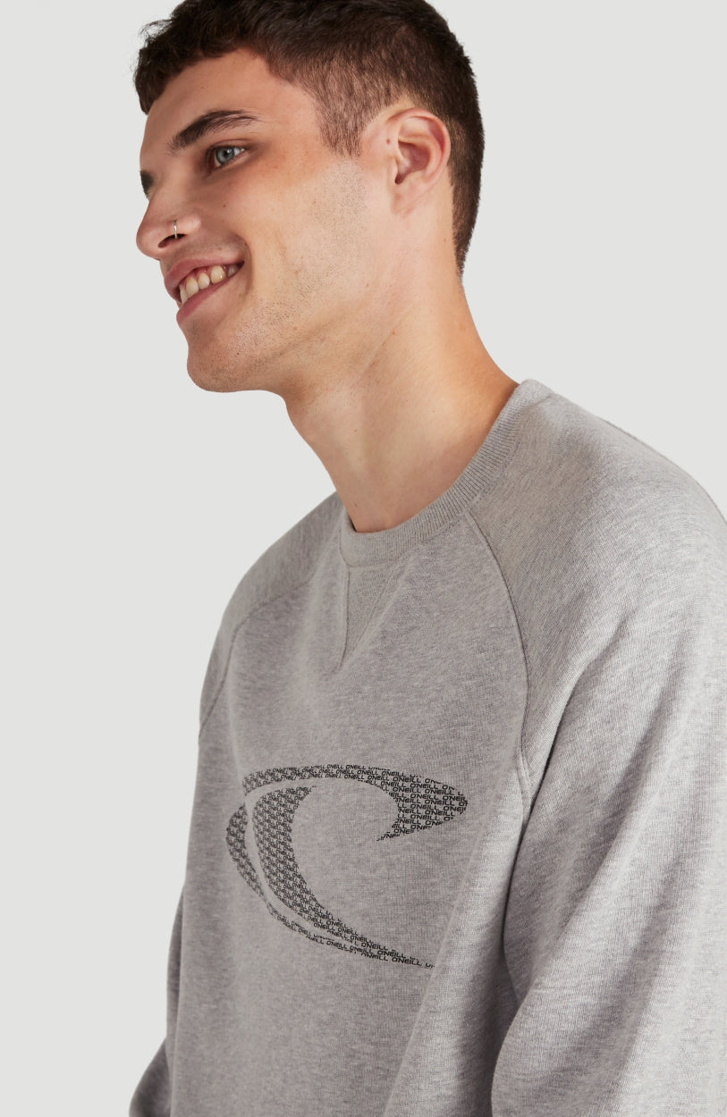 Color Grindle Crew Neck Sweatshirt | Silver Melee -A
