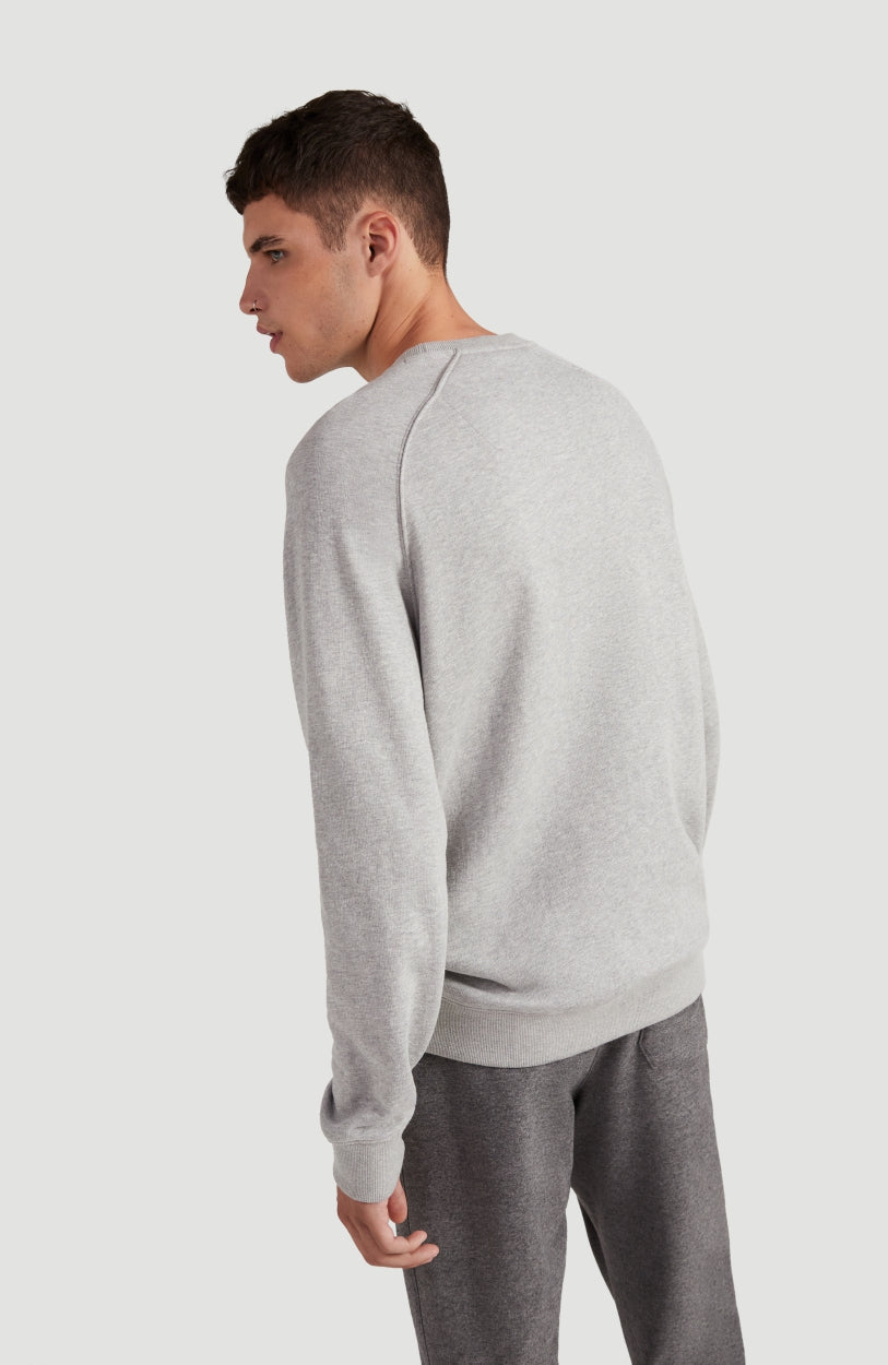 Color Grindle Crew Neck Sweatshirt | Silver Melee -A