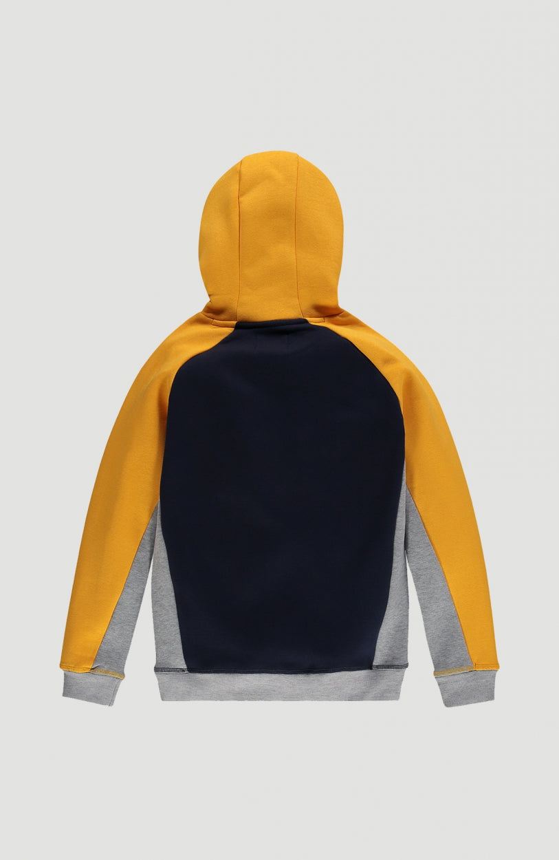 Colorblock Hoodie | Old Gold -A