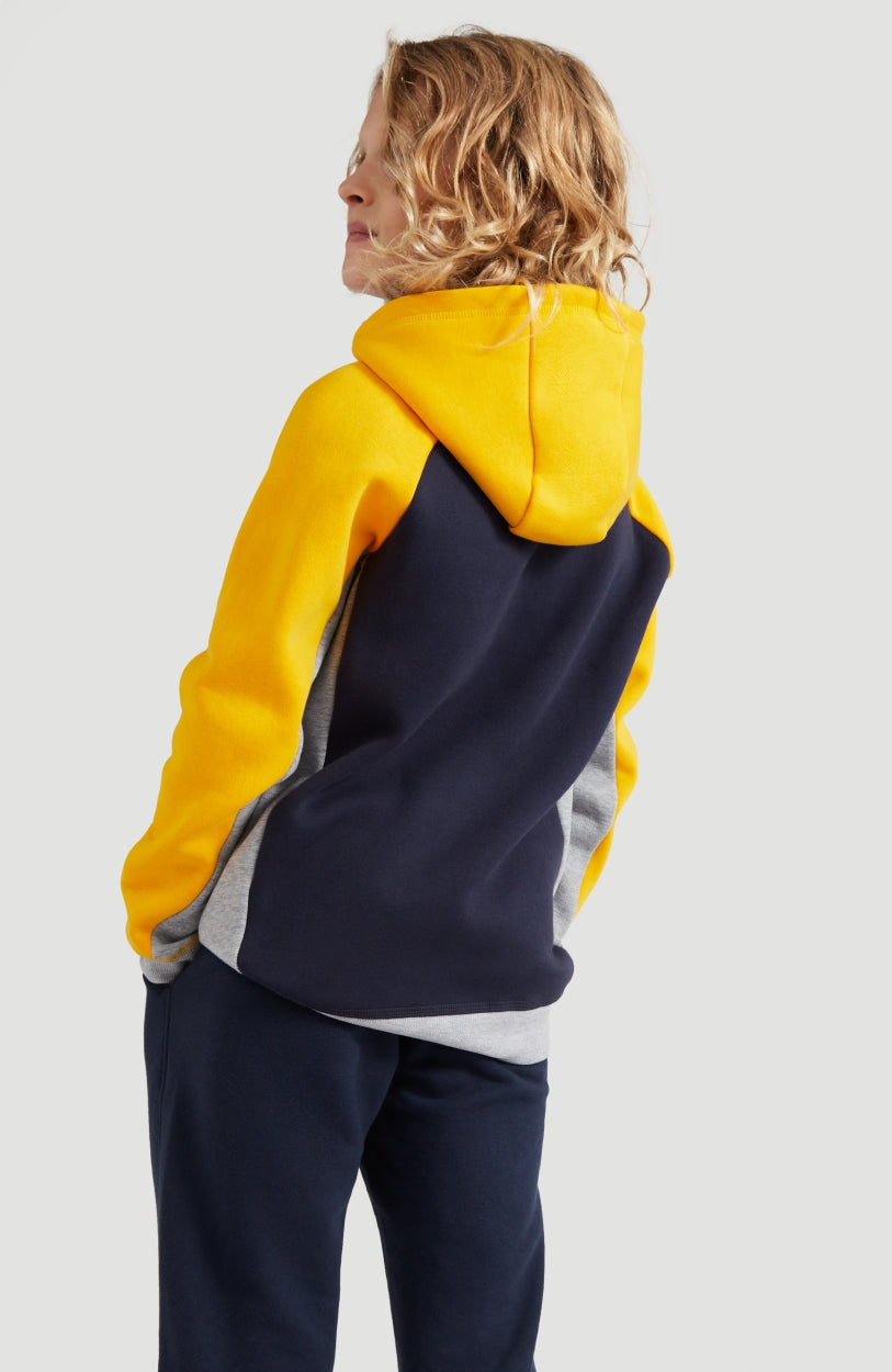 Colorblock Hoodie | Old Gold -A