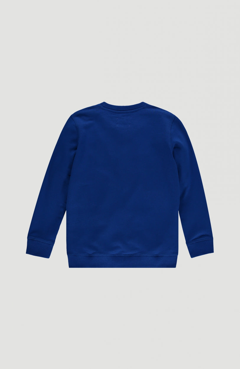 All Year Crew Neck Sweatshirt | Surf Blue