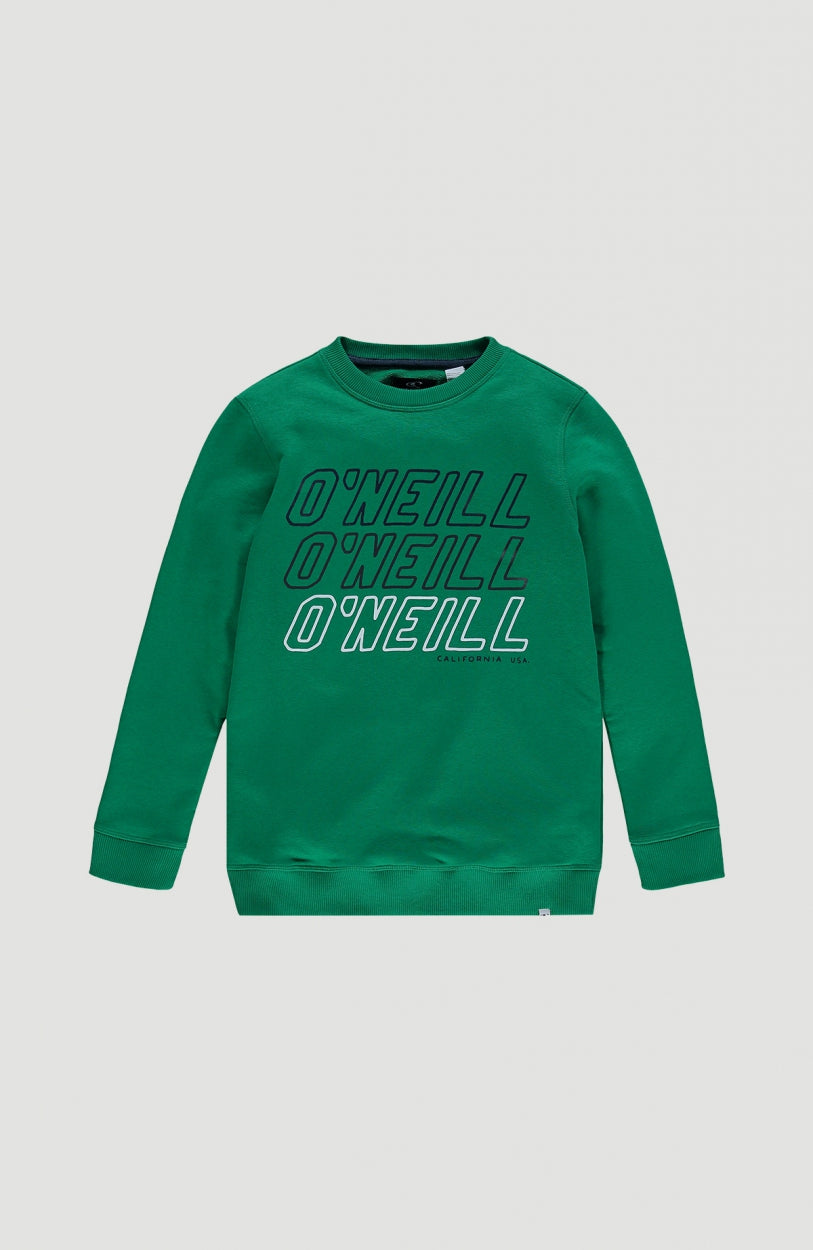 All Year Crew Neck Sweatshirt | Jolly Green