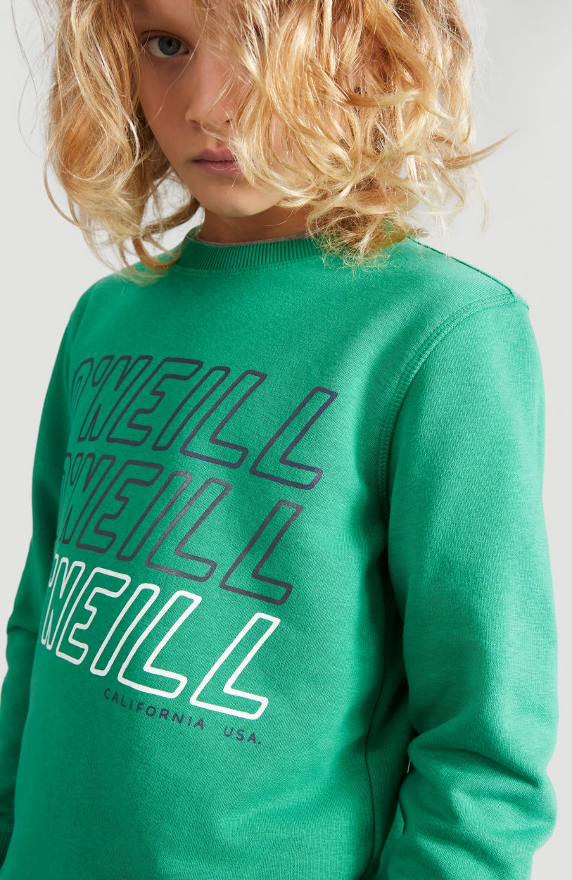 All Year Crew Neck Sweatshirt | Jolly Green
