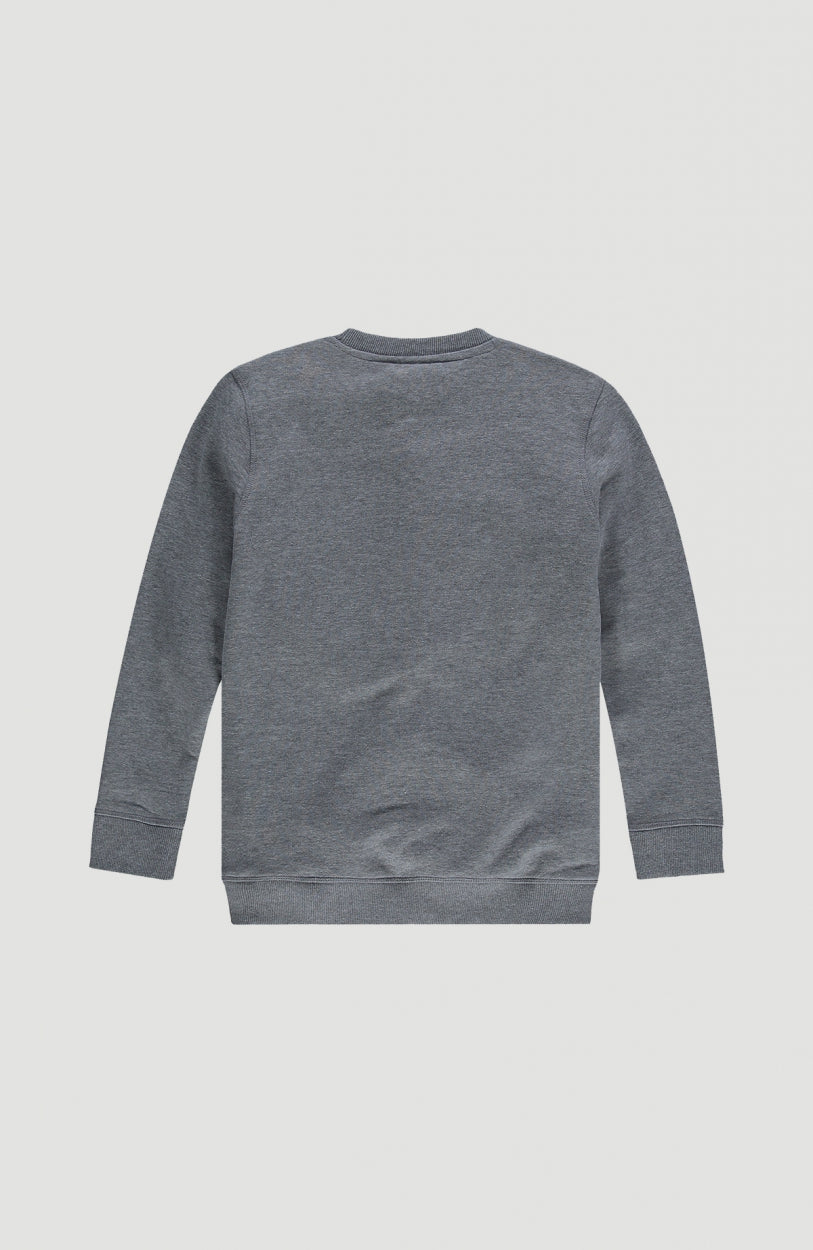 All Year Crew Neck Sweatshirt | Silver Melee -A