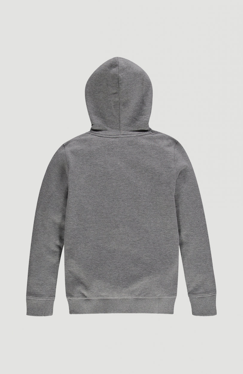 All Year Hoodie | Silver Melee -A