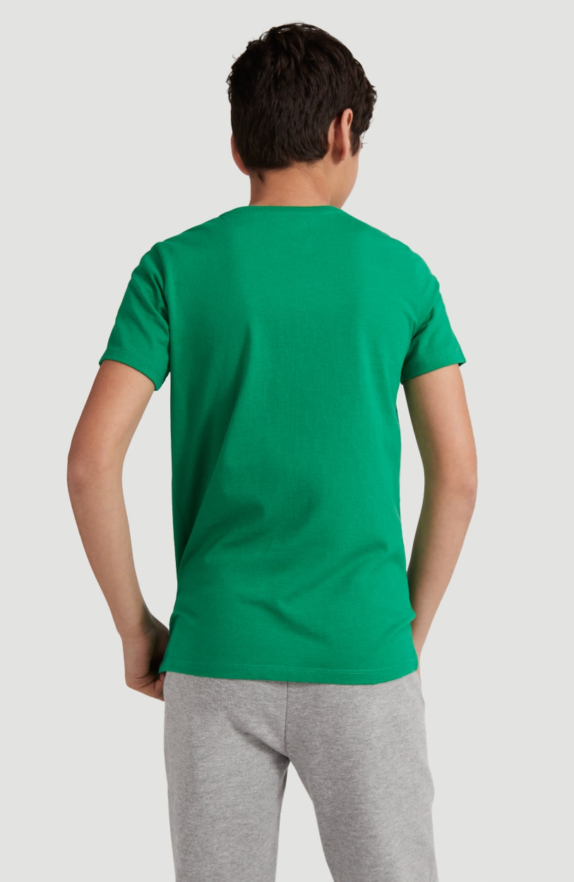 All Year Shortsleeve T-Shirt | Jolly Green