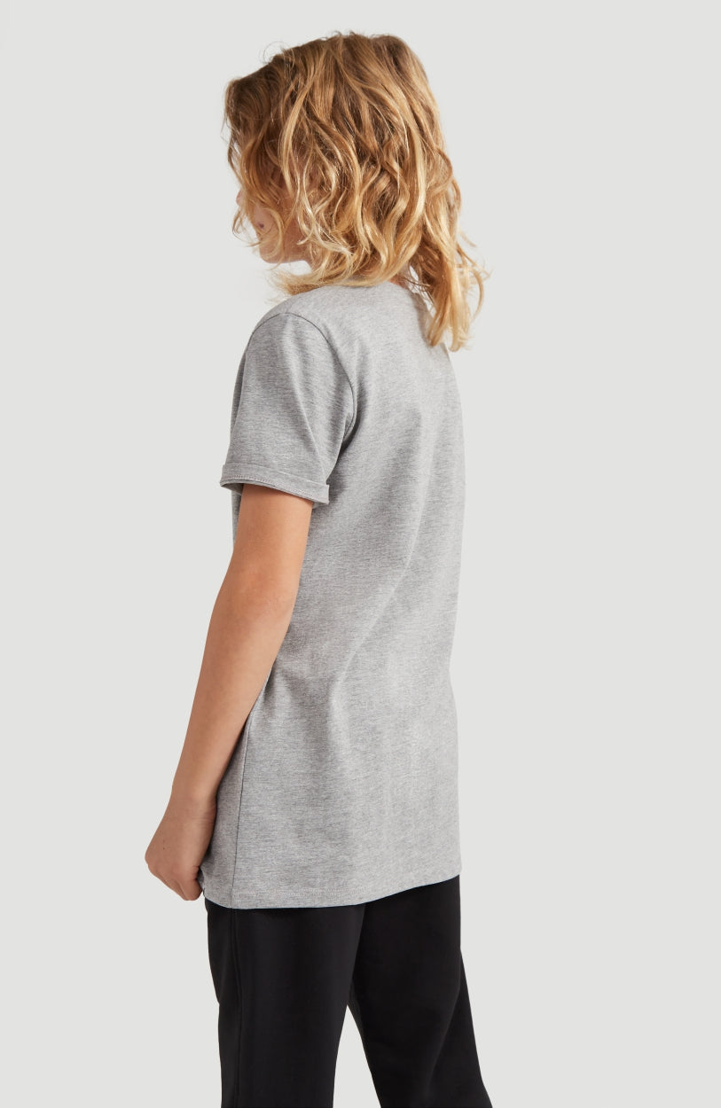 All Year Shortsleeve T-Shirt | Silver Melee -A