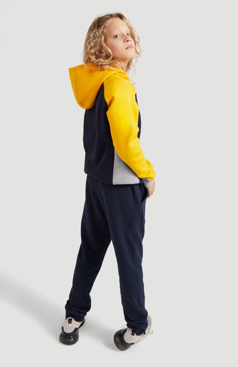 All Year Sweatpants | Ink Blue -A