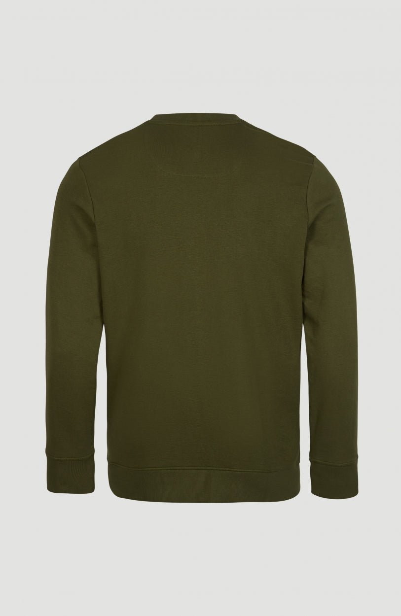 Logo Crew Neck Sweatshirt | Winter Moss