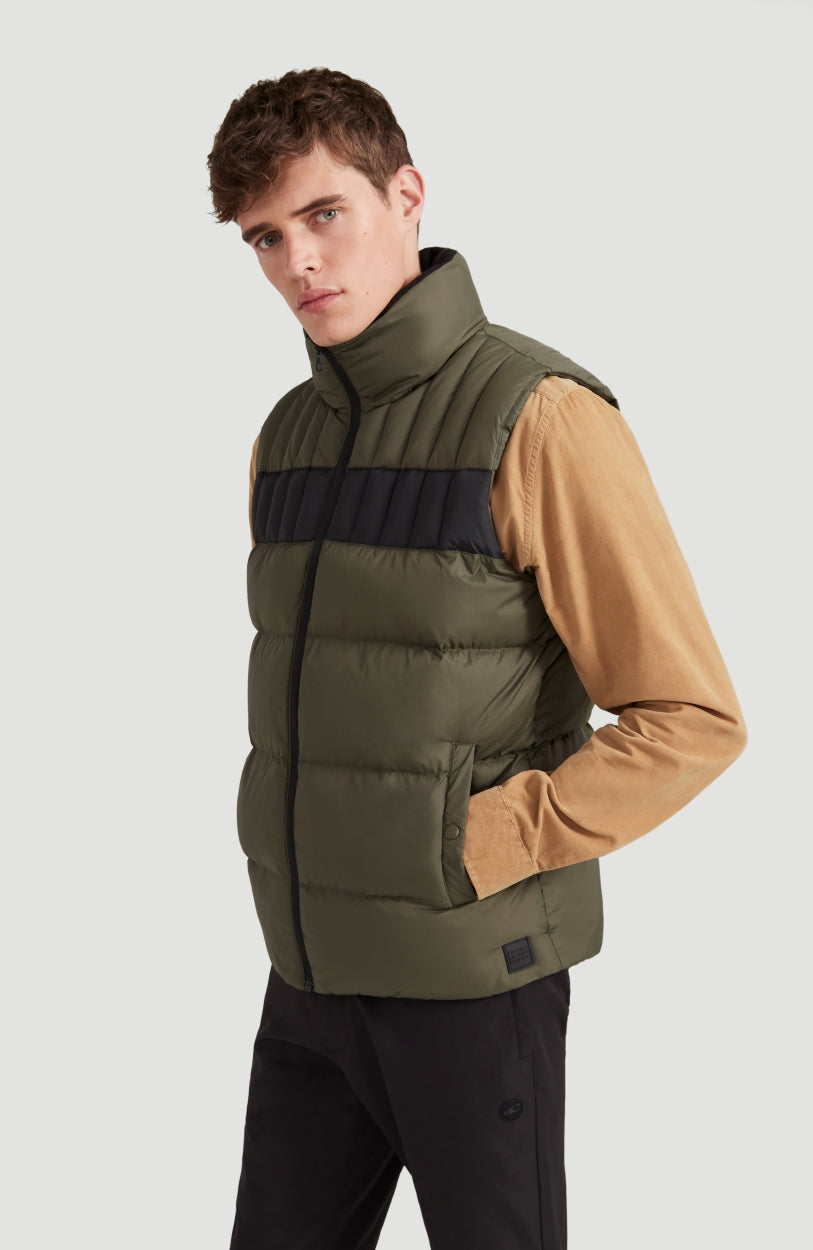 Bodywarmer Vest | Winter Moss