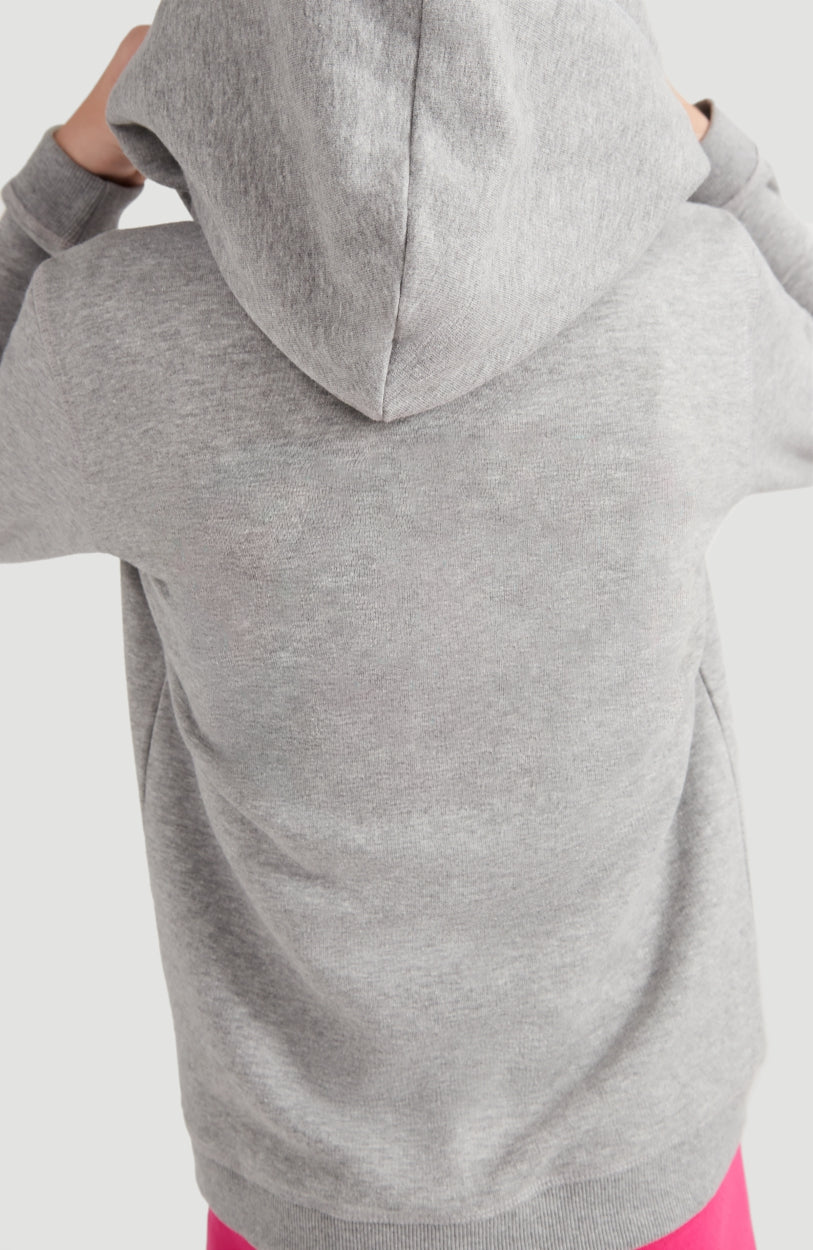 All Year Full Zip Hoodie | Silver Melee -A