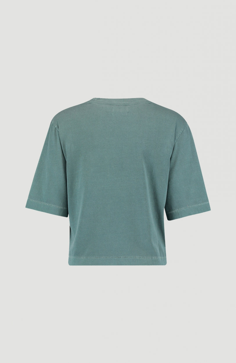 Big Logo Cropped T-Shirt | Balsam
