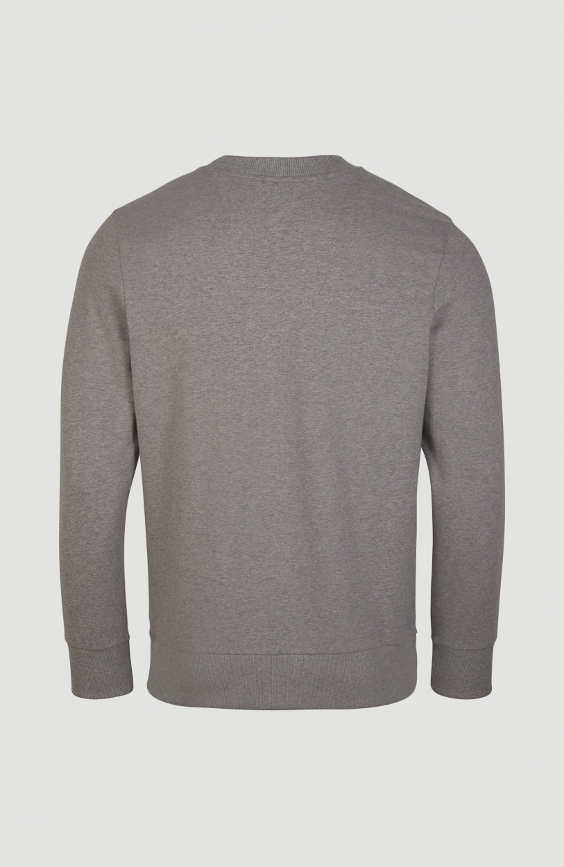 Club Crew Sweatshirt | Silver Melee -A