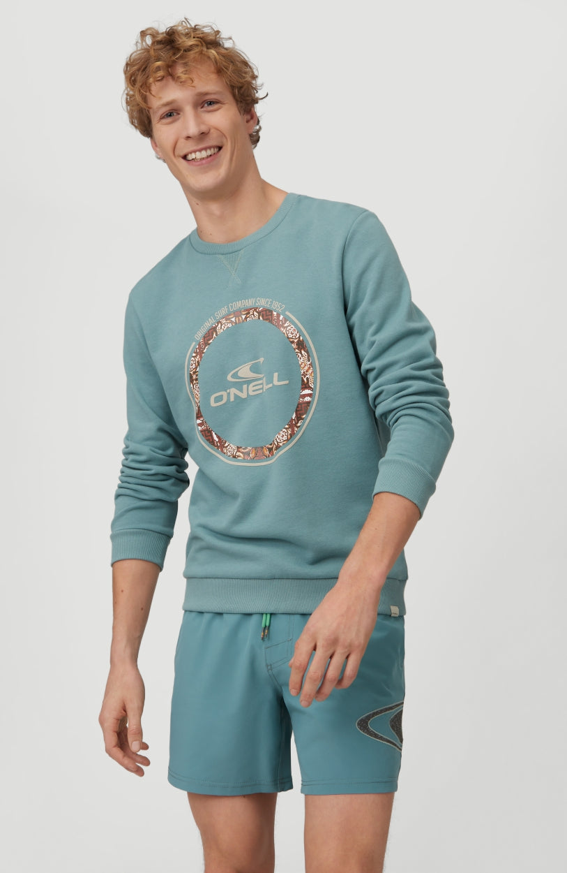 Tribe Crew Sweatshirt | Arctic