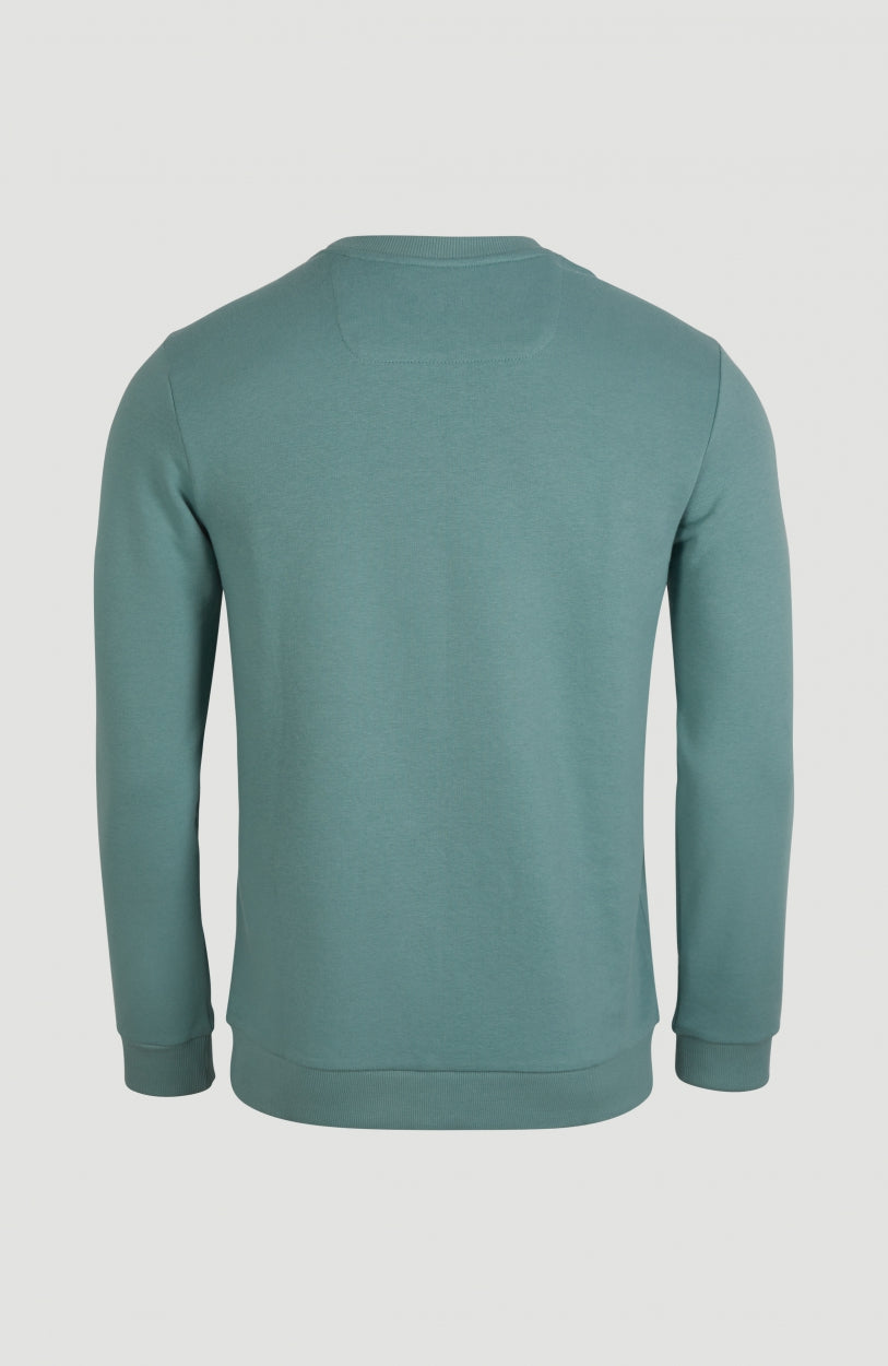 Tribe Crew Sweatshirt | Arctic