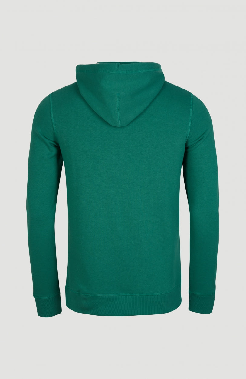 Triple Stack Hoodie | Ivy
