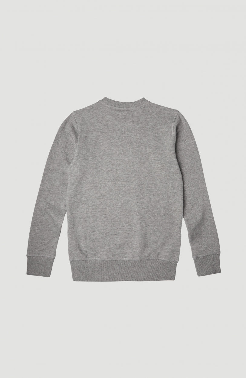 All Year Crew Sweatshirt | Silver Melee -A
