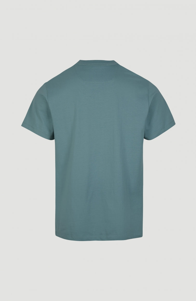 Center Surfer T-Shirt | Arctic