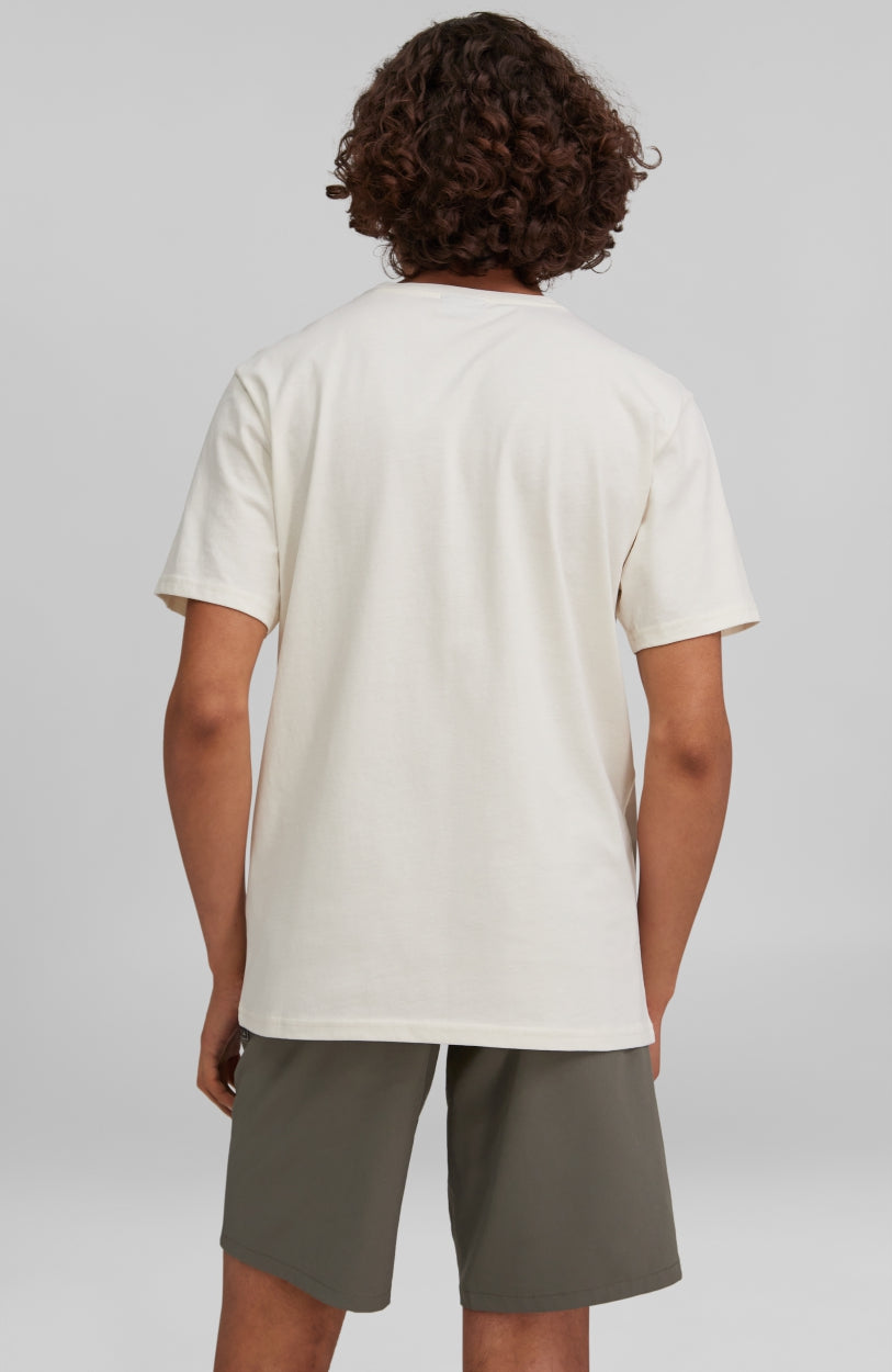 California Beach T-Shirt | Egret -A