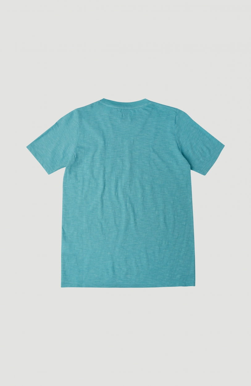 Circle Surfer Shortsleeve T-Shirt | Aqua Sea -A