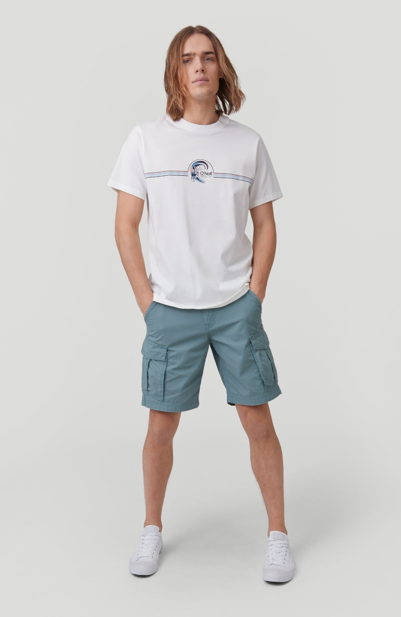 Beach Break Cargo Shorts | Arctic