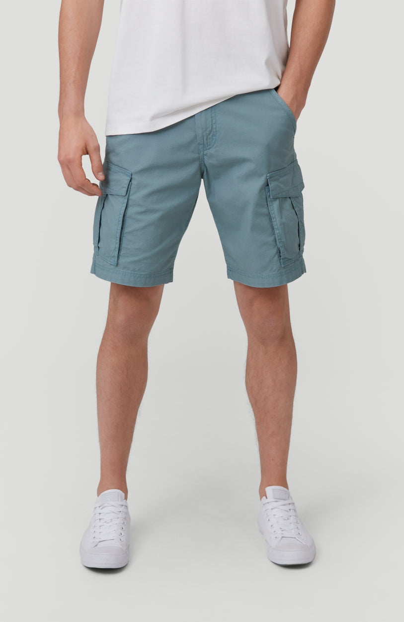 Beach Break Cargo Shorts | Arctic