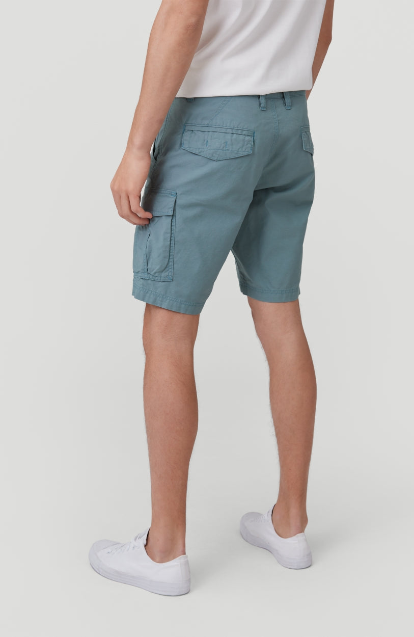 Beach Break Cargo Shorts | Arctic