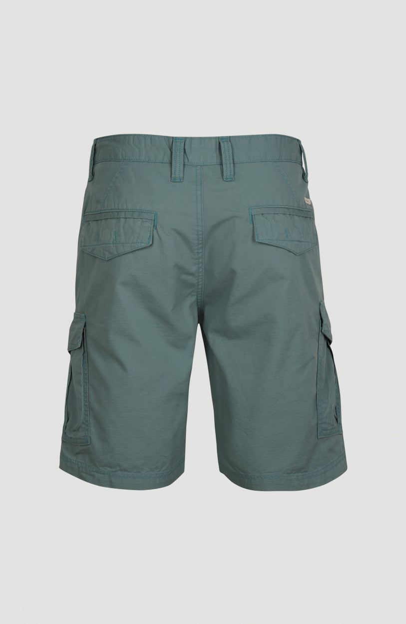 Beach Break Cargo Shorts | Arctic