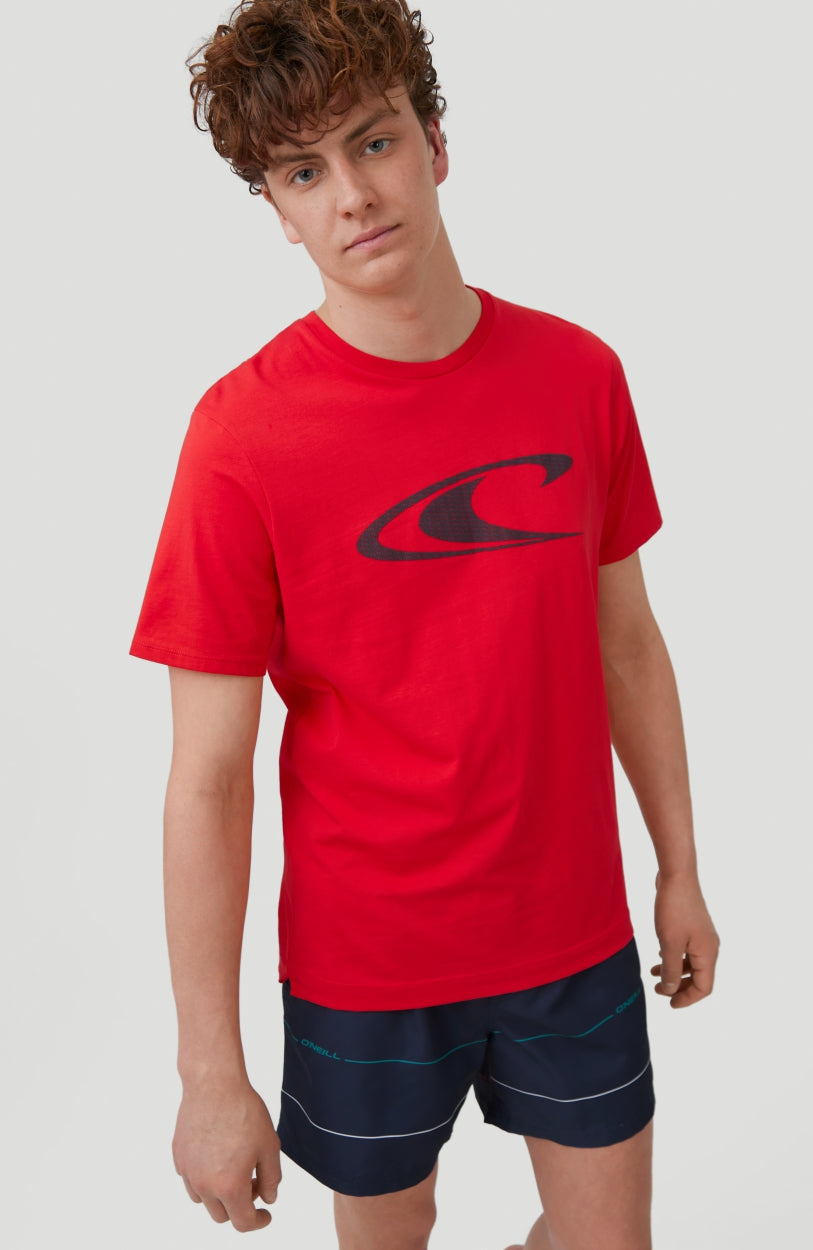 Contourz Shorts | Blue Print - A