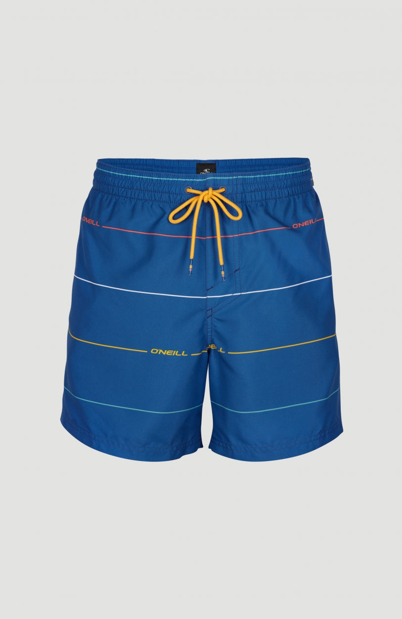 Contourz Shorts | Blue Print 1