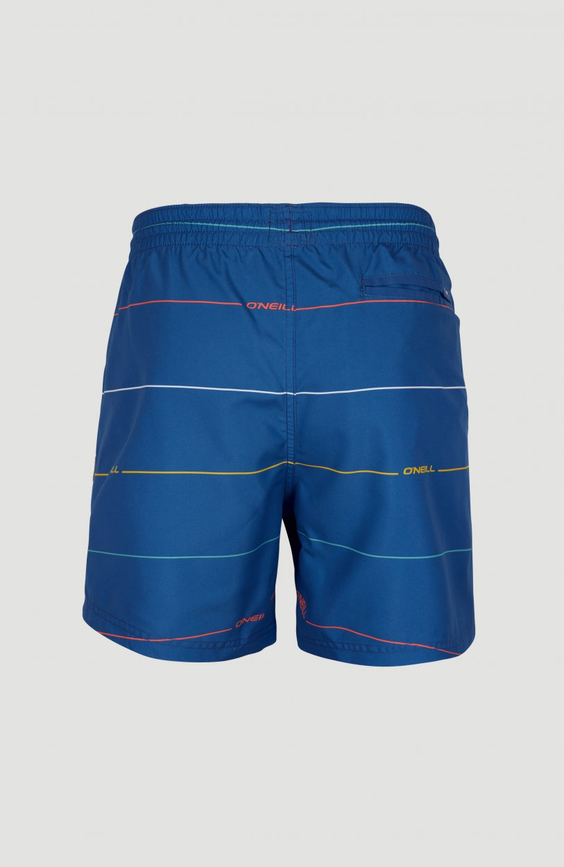 Contourz Shorts | Blue Print 1
