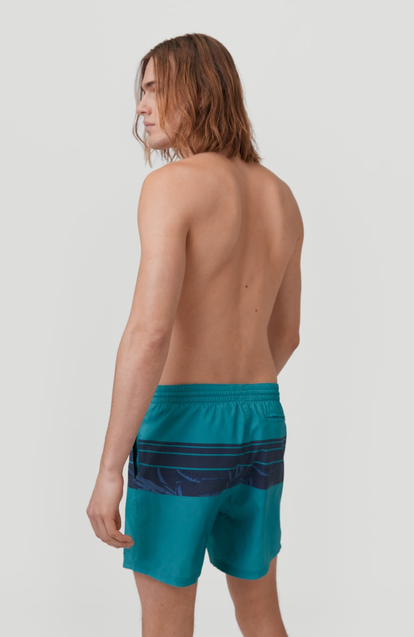 Cali Stripe Shorts | Green With Blue