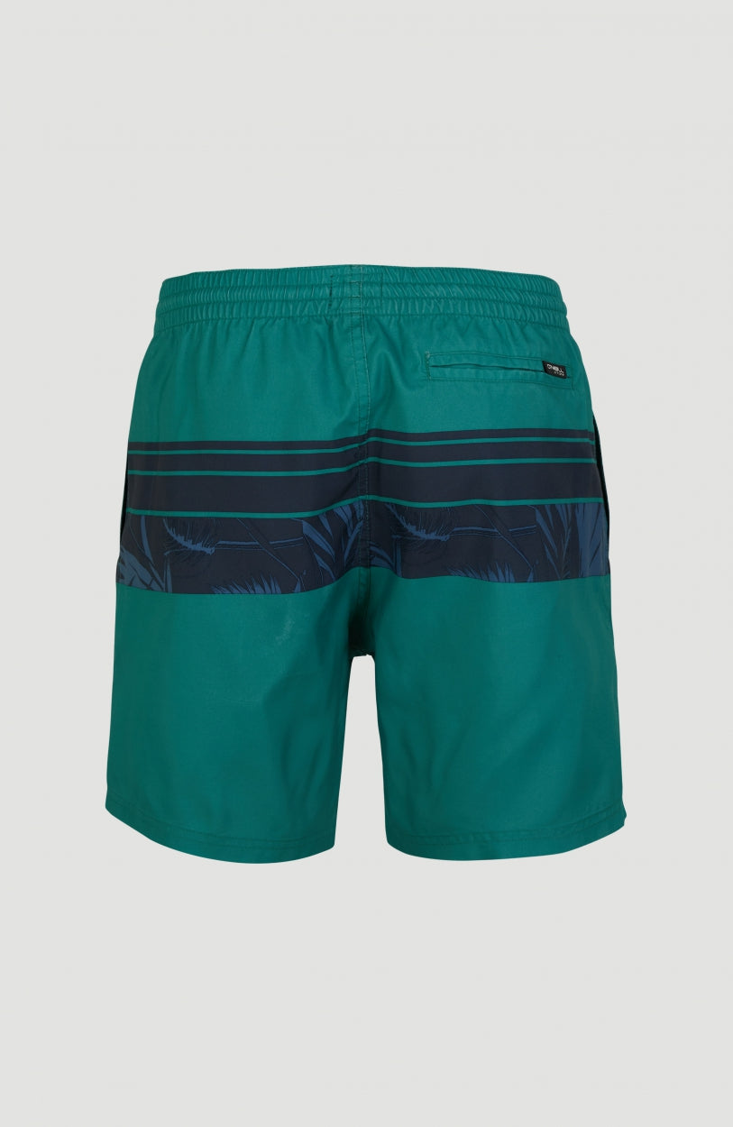 Cali Stripe Shorts | Green With Blue