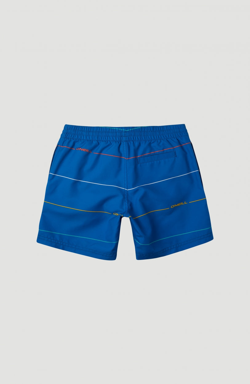 Contourz Shorts | Blue Print 1