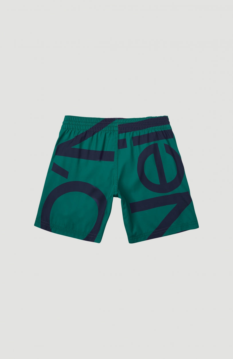Cali Zoom Shorts | Green With Pink or Purple