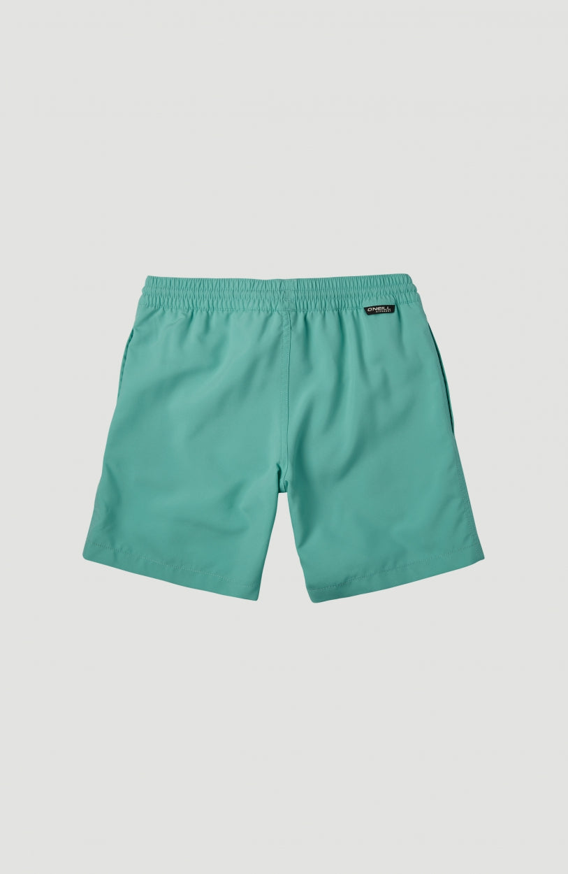 Cali Shorts | Spearmint