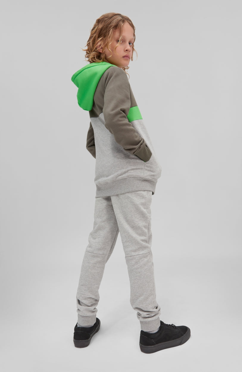 Blocked Anorak Hoodie | Forest Night -A