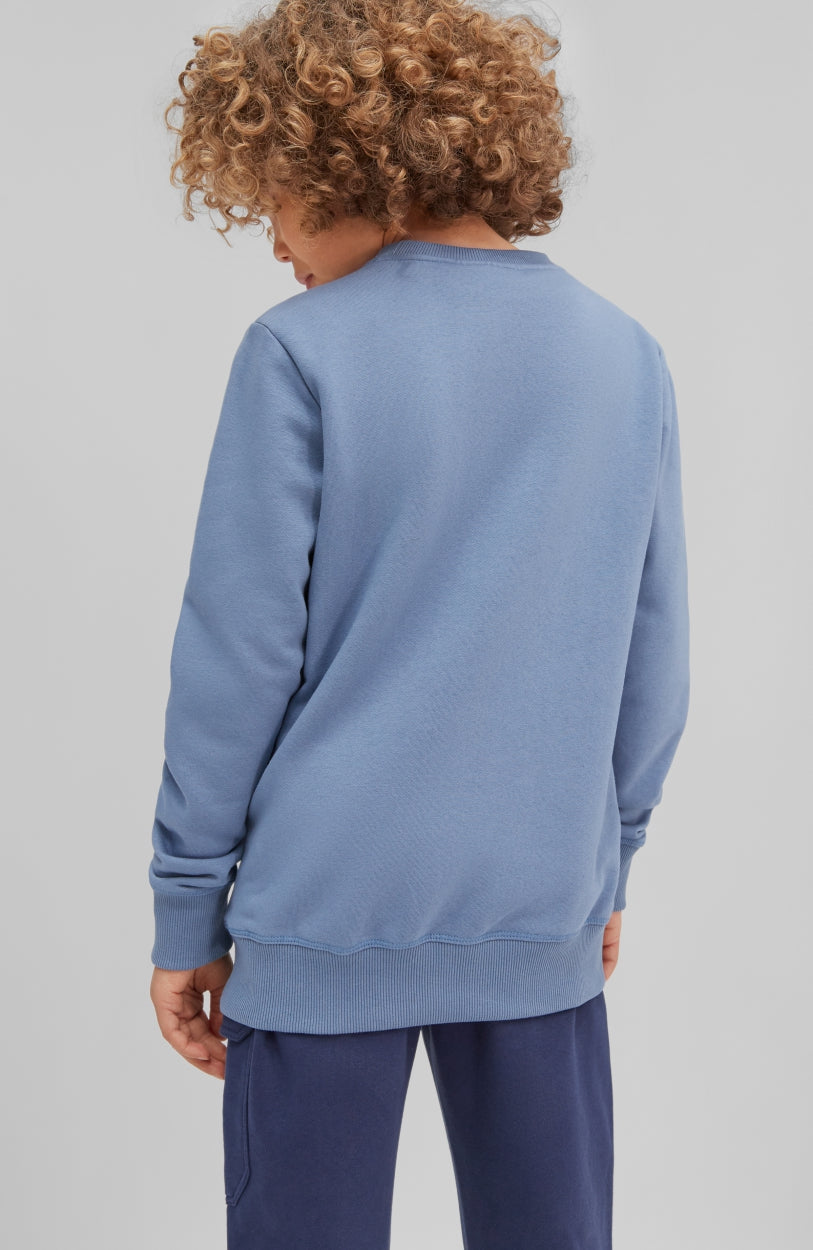 Circle Surfer Crew Sweatshirt | Walton Blue