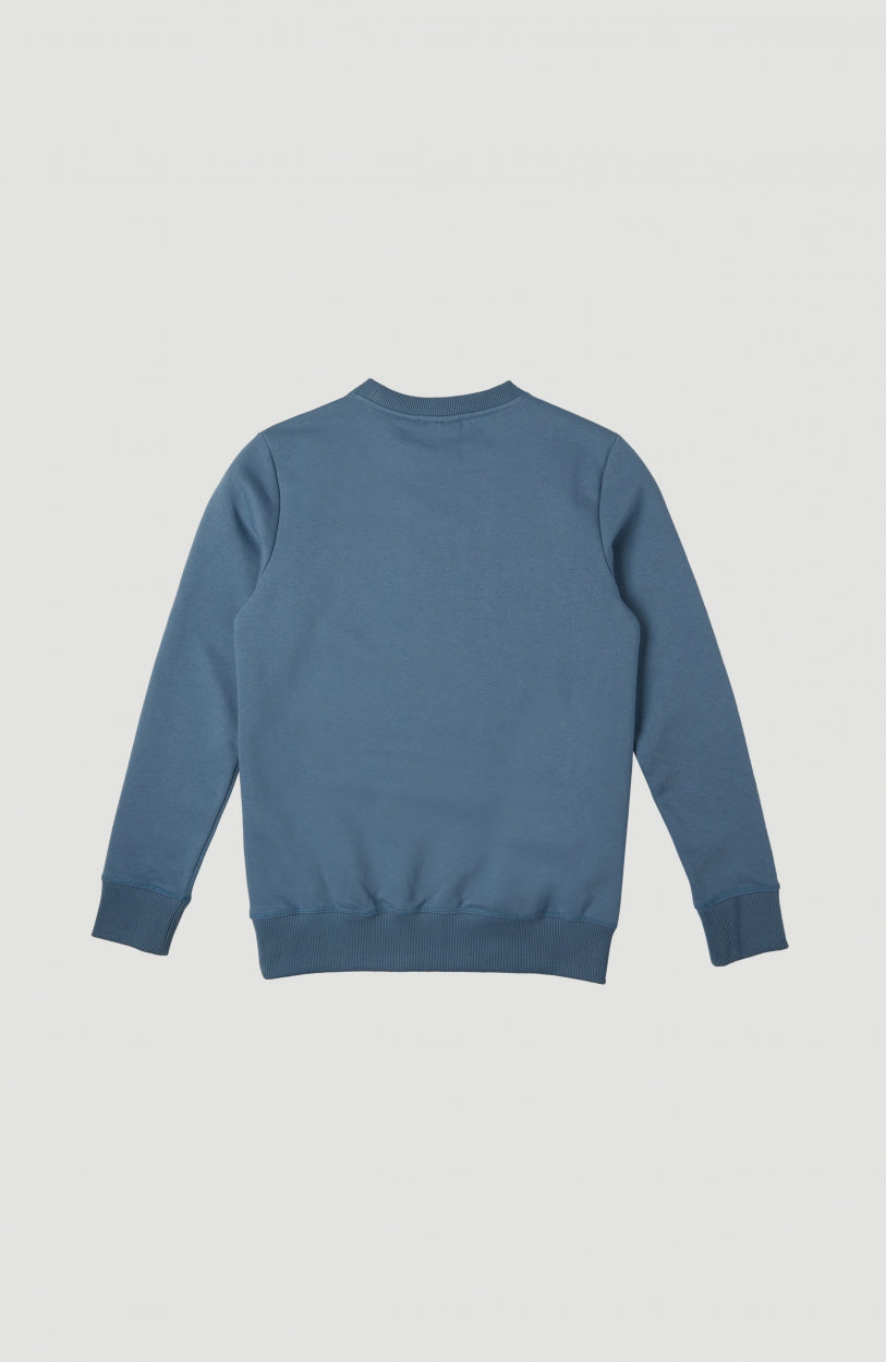 Circle Surfer Crew Sweatshirt | Walton Blue