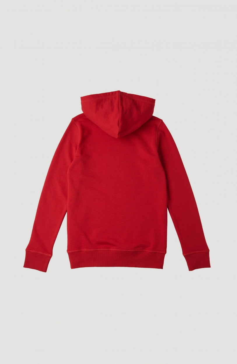 All Year Sweatshirt Hoodie | Haute Red -A