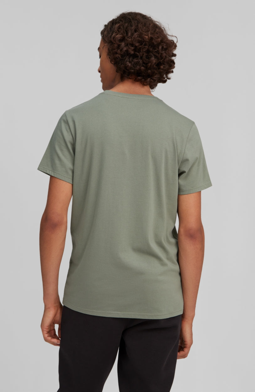 Block T-Shirt | Agave Green