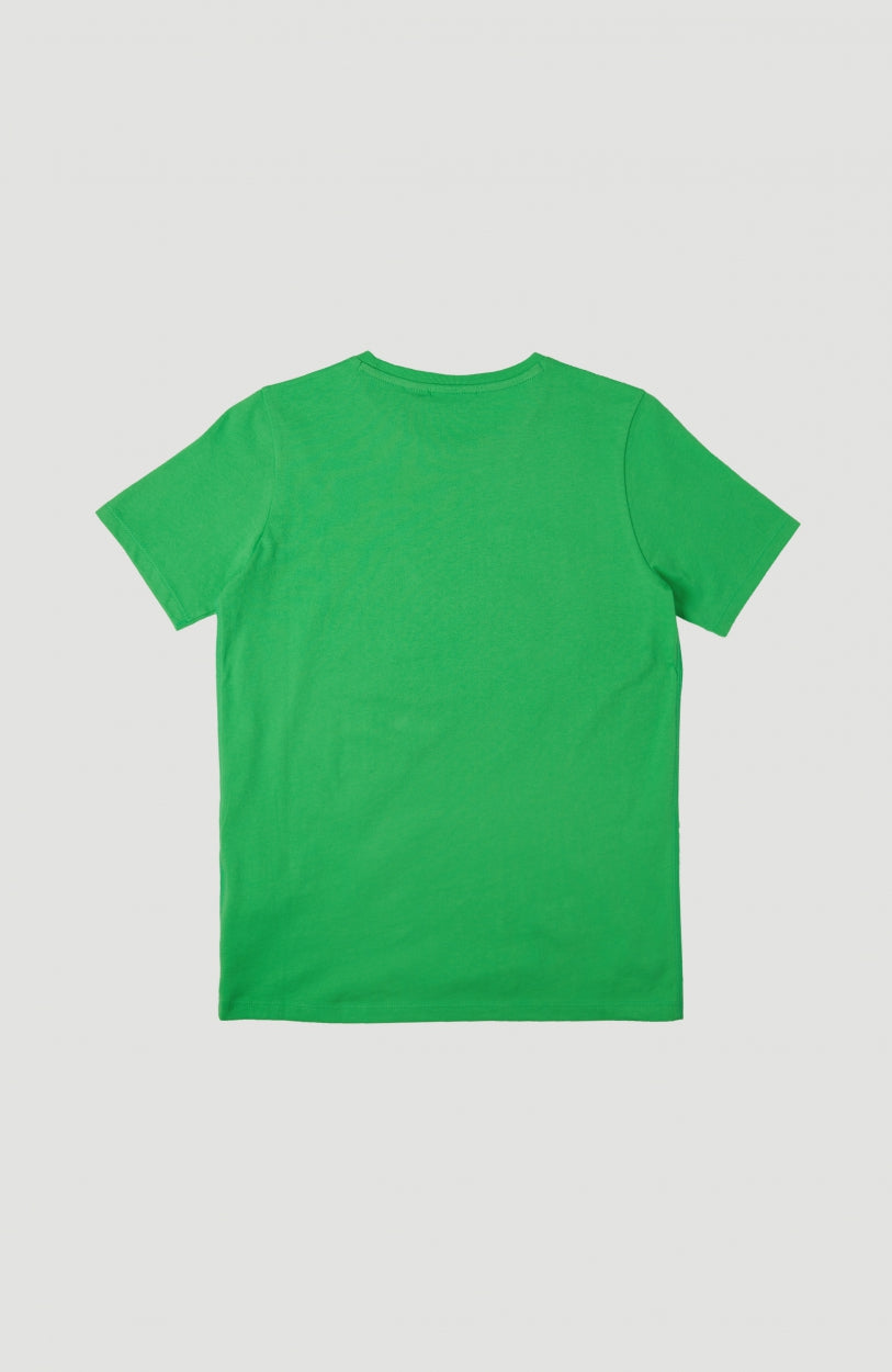 Circle Surfer T-Shirt | Poison Green