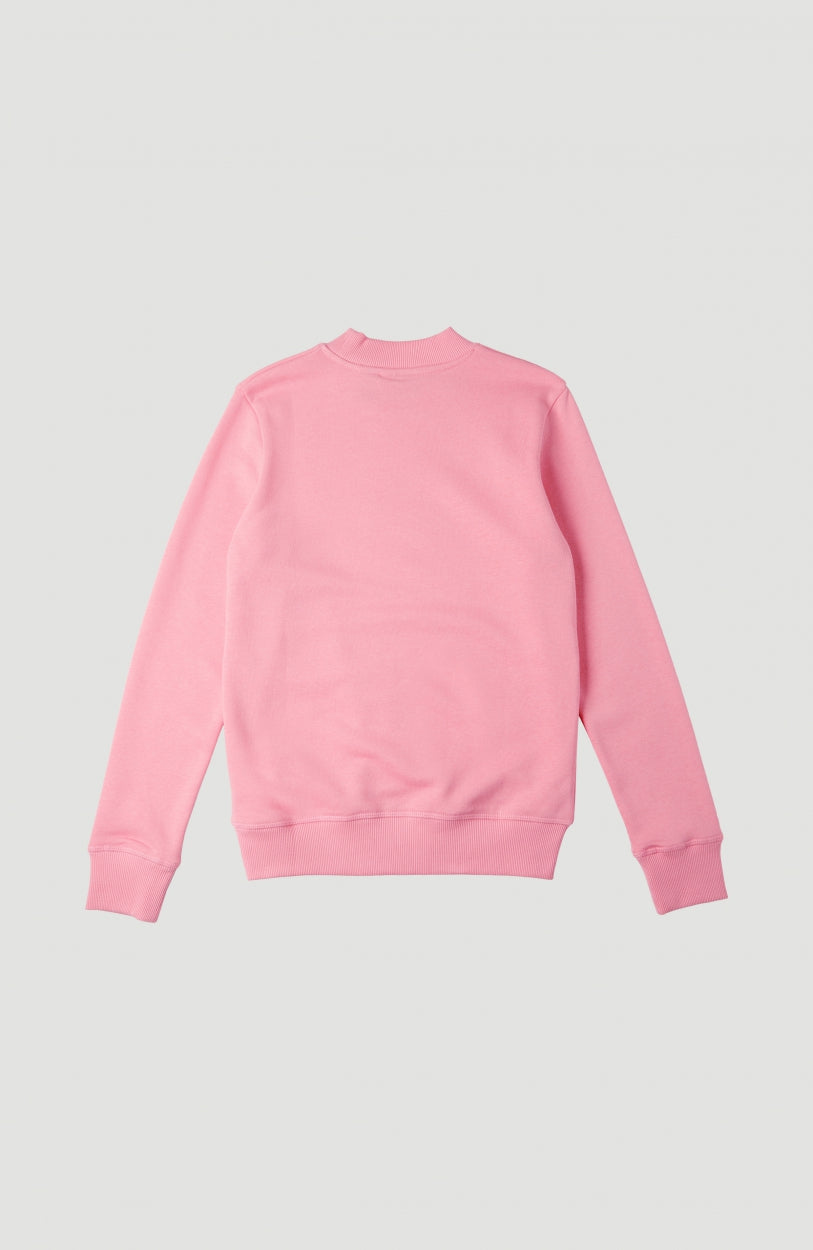 All Year Crew Sweatshirt | Conch Shell
