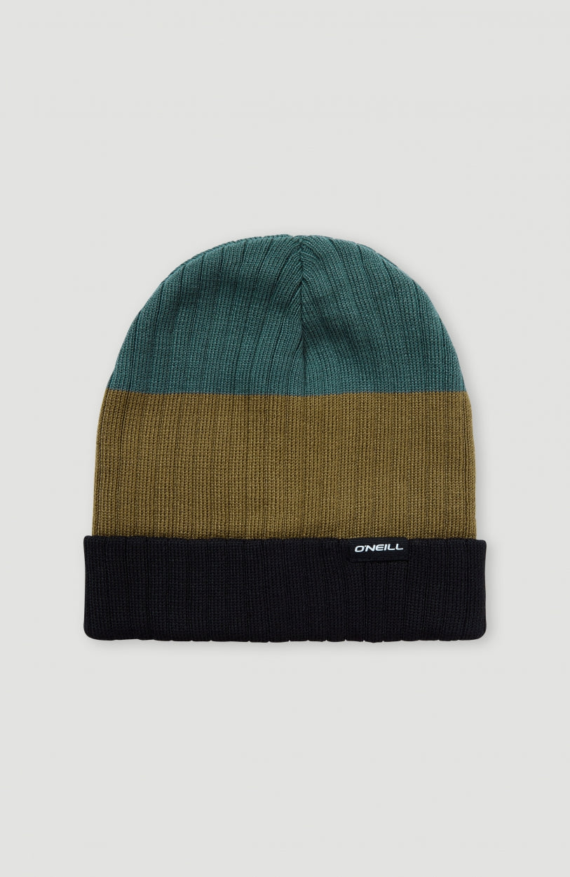 Carbonite Beanie | Balsam Green Colour Block